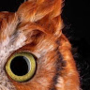 Meet your Posher, Bryan